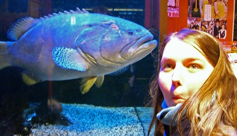 Nina vs Fisch Nina vs Fisch