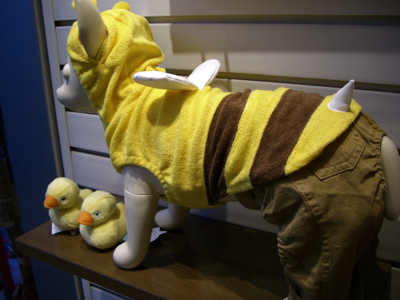 Verkleidung für Hunde?