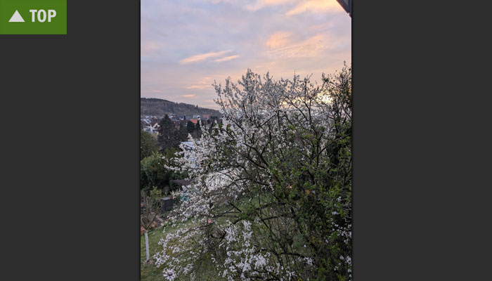 Frühlingsimpressionen aus Süddeutschland