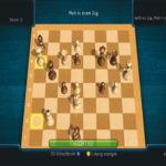 chessmaster-live-groes-bil