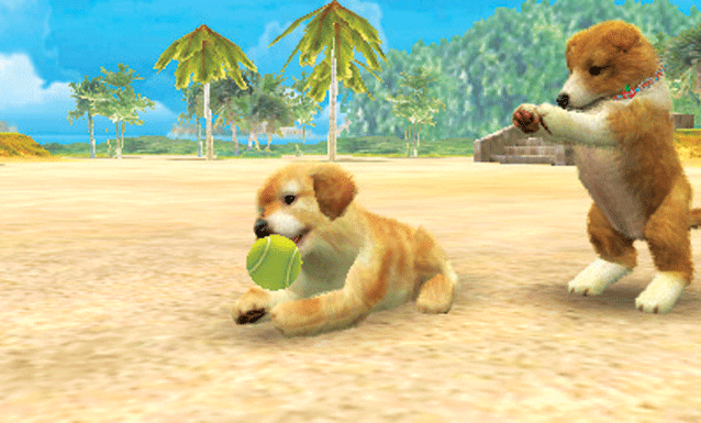 dogs-oben
