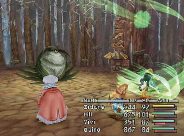 ff9-groes-bild