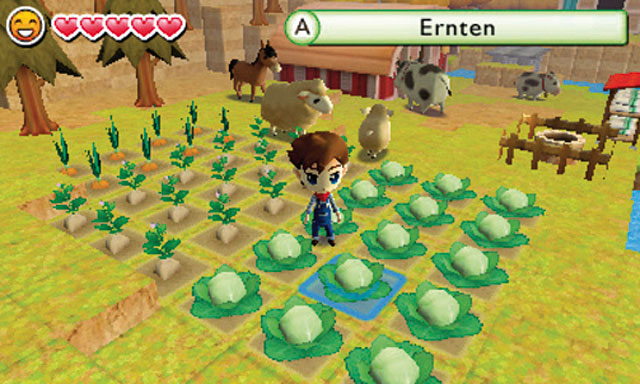 Harvest moon lost valley discount