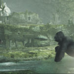nnn-image21