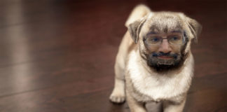 Supermops