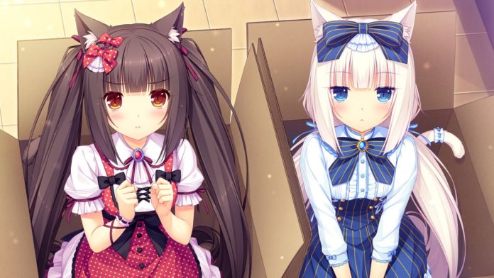nekopara-vol-1-BIG