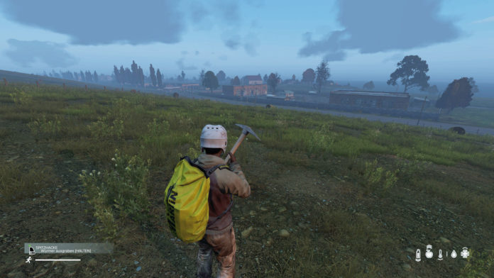 dayz-TEST