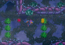 Kaze and the Wild Masks – im Test (PS4)