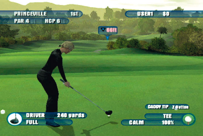 tiger woods pga tour 2003 playstation 2