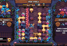 Shovel Knight Pocket Dungeon – im Test (PS4)