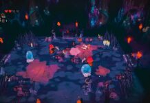 Cult of the Lamb – im Test (PS5)