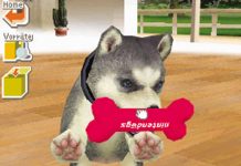 Nintendogs – im Klassik-Test (DS)