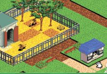 Zoo Tycoon DS – im Klassik-Test (DS)