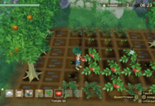 Story of Seasons: A Wonderful Life – im Test (PS5)