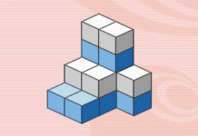 Big Brain Academy – im Klassik-Test (DS)