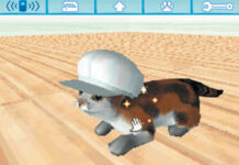 Catz – im Klassik-Test (DS)