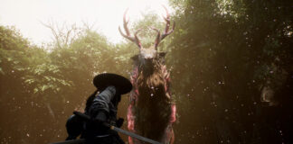 Screenshot von Beast of Reincarnation