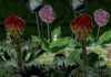 Screenshot von And Yet It Moves