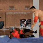 wwe-smackdown-raw-2011-wii-TEST