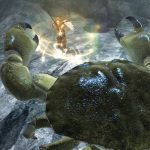 Screenshot von Faery: Legends of Avalon