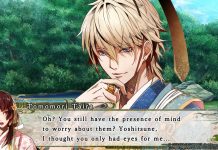 Birushana: Winds of Fate – im Test (Switch)