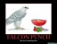 Falconpunch